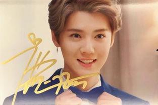 明星鹿晗的签名.,青春偶像的个性印记