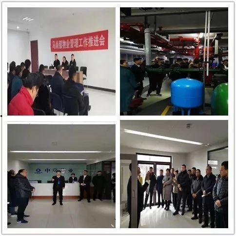 马尚镇今日头条,最新动态与热点事件速览