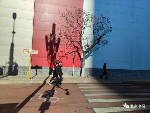 东直门树网红打卡地地址,探寻京城新晋打卡圣地之美