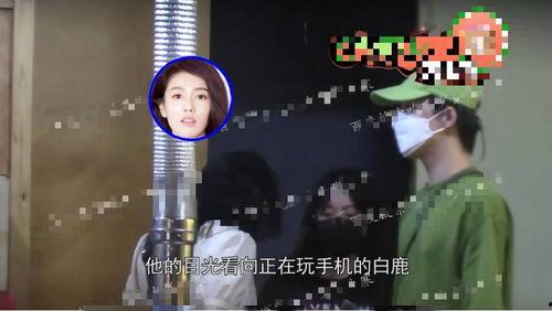 白鹿圈内人爆料视频,独家内幕大公开