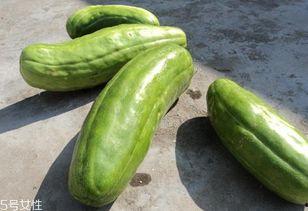 脆瓜怎么吃,探索美味与营养的完美结合