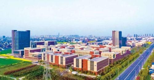 泰州医药高新区网红,网红打卡新地标，魅力医药城风采绽放