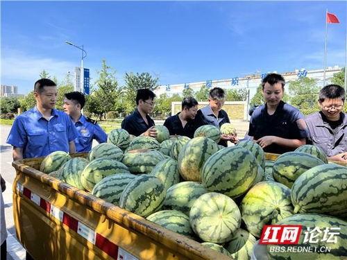 西安动车段吃瓜,揭秘动车段里的“吃瓜”日常