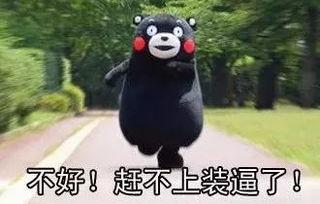 同道中人吃瓜群众