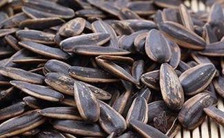 种什么瓜吃瓜子,瓜子的种植与收获之旅