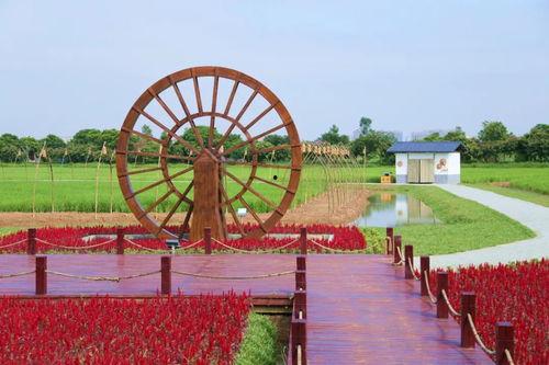 华阳最近的网红打卡点,探秘这座城市的隐藏魅力