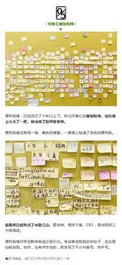 南京网红打卡报告图片,探寻城市新风尚的视觉盛宴