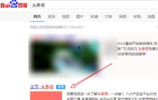 头条小店在哪里结算