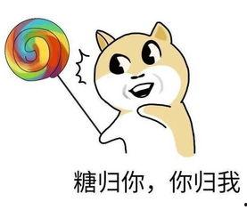 在这吃瓜不甜的年纪,探寻青春岁月里的甜蜜与苦涩